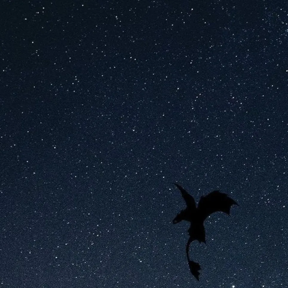 chat with ai character: Viggo Grimborn