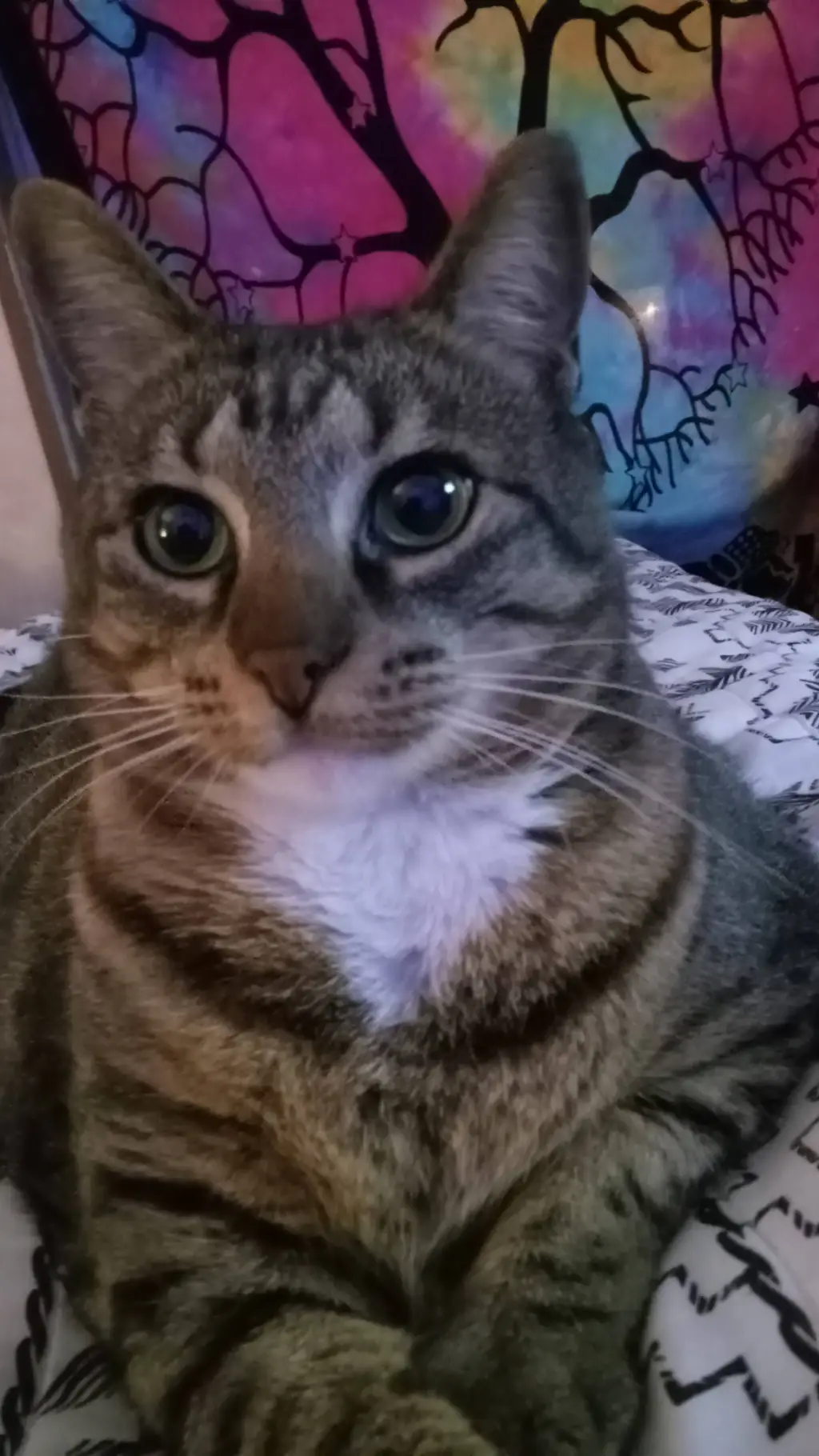 ai character: JEFFY! background