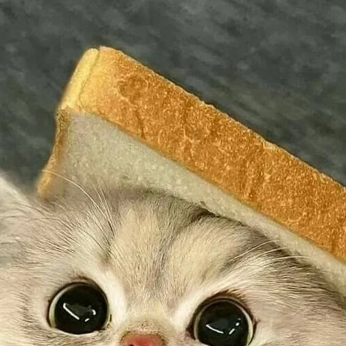 chat with ai character: your pet cat 4