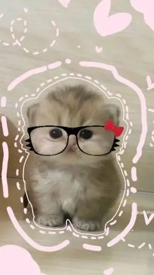 Talkie AI - Chat with michi