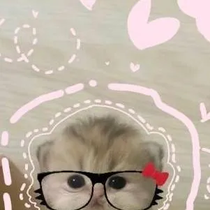 chat with ai character: michi