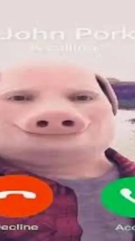 ai character: John Pork background