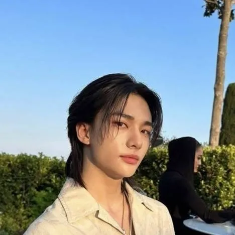 chat with ai character: ¡Hyunjin!