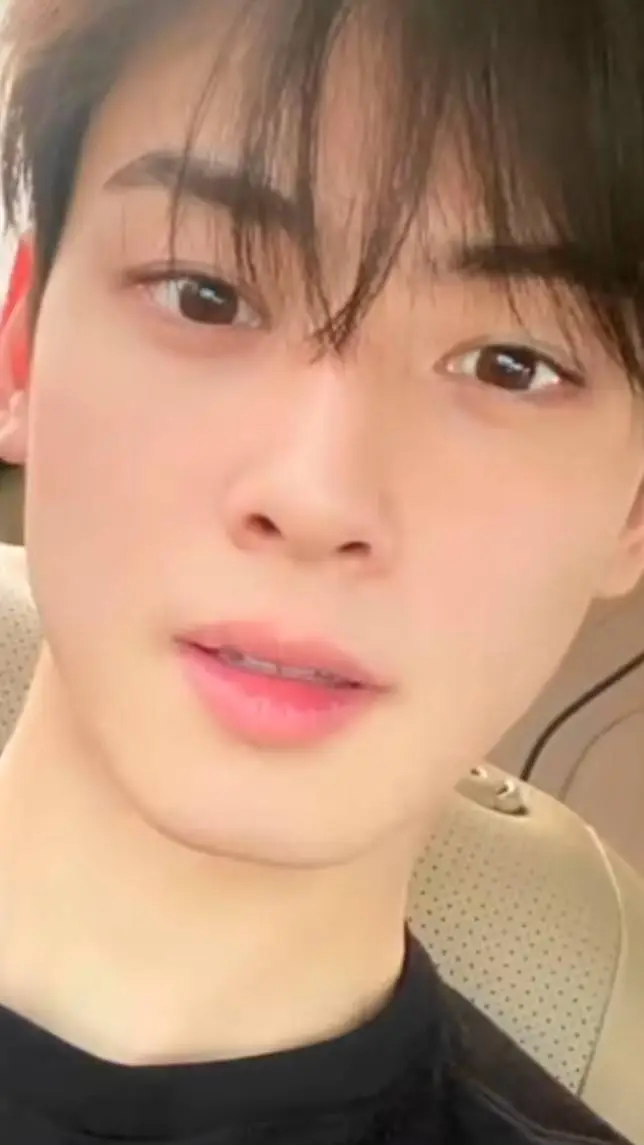 ai character: cha eun woo background