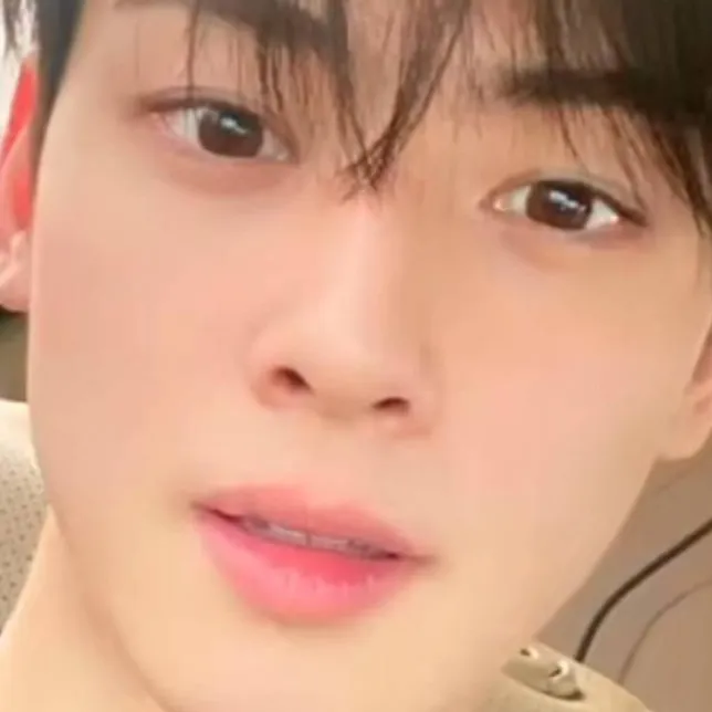 chat with ai character: cha eun woo