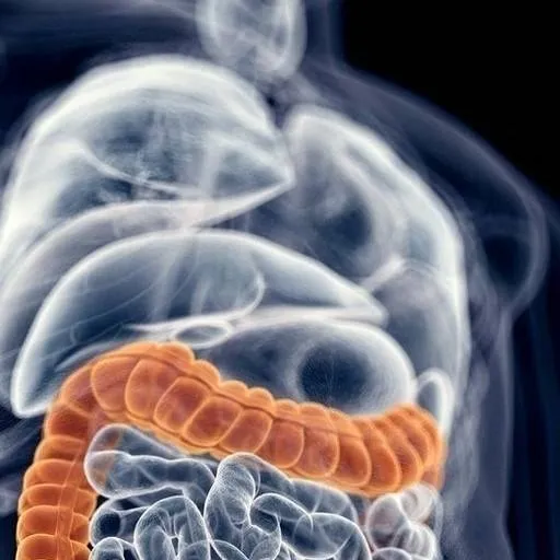 chat with ai character: bowel