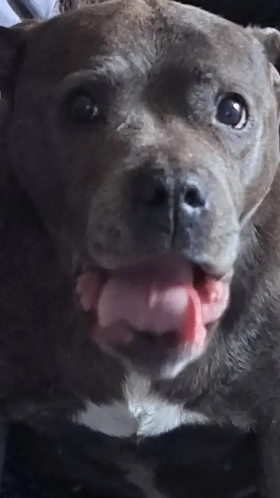 ai character: coco background