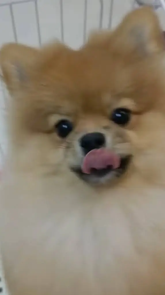 ai character: MHA pro heros background