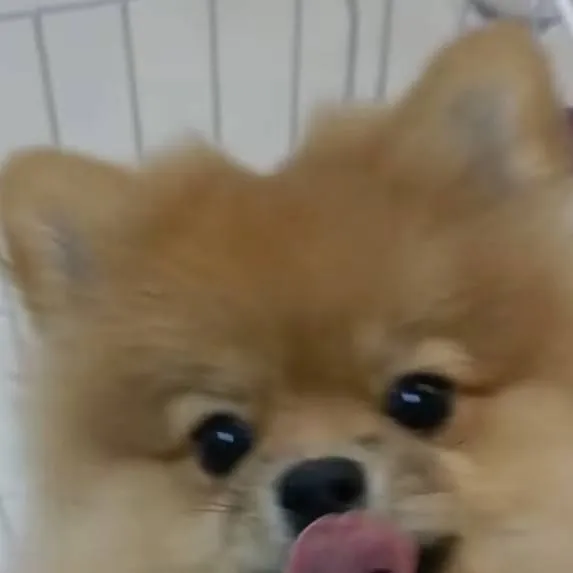 chat with ai character: MHA pro heros