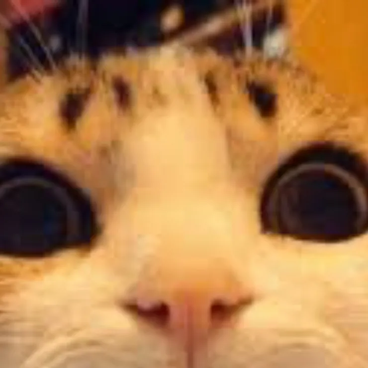chat with ai character: Kitty UIAAA