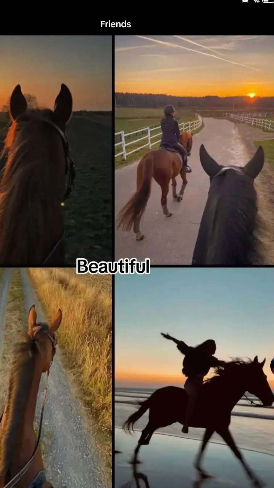 ai character: Skz stables background