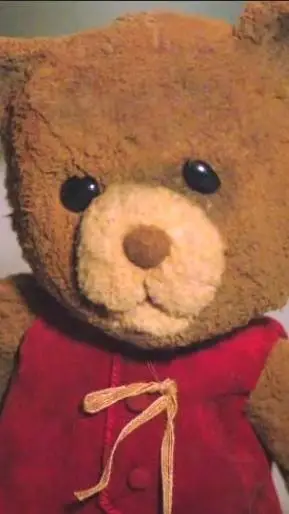 ai character: chauncey bear background