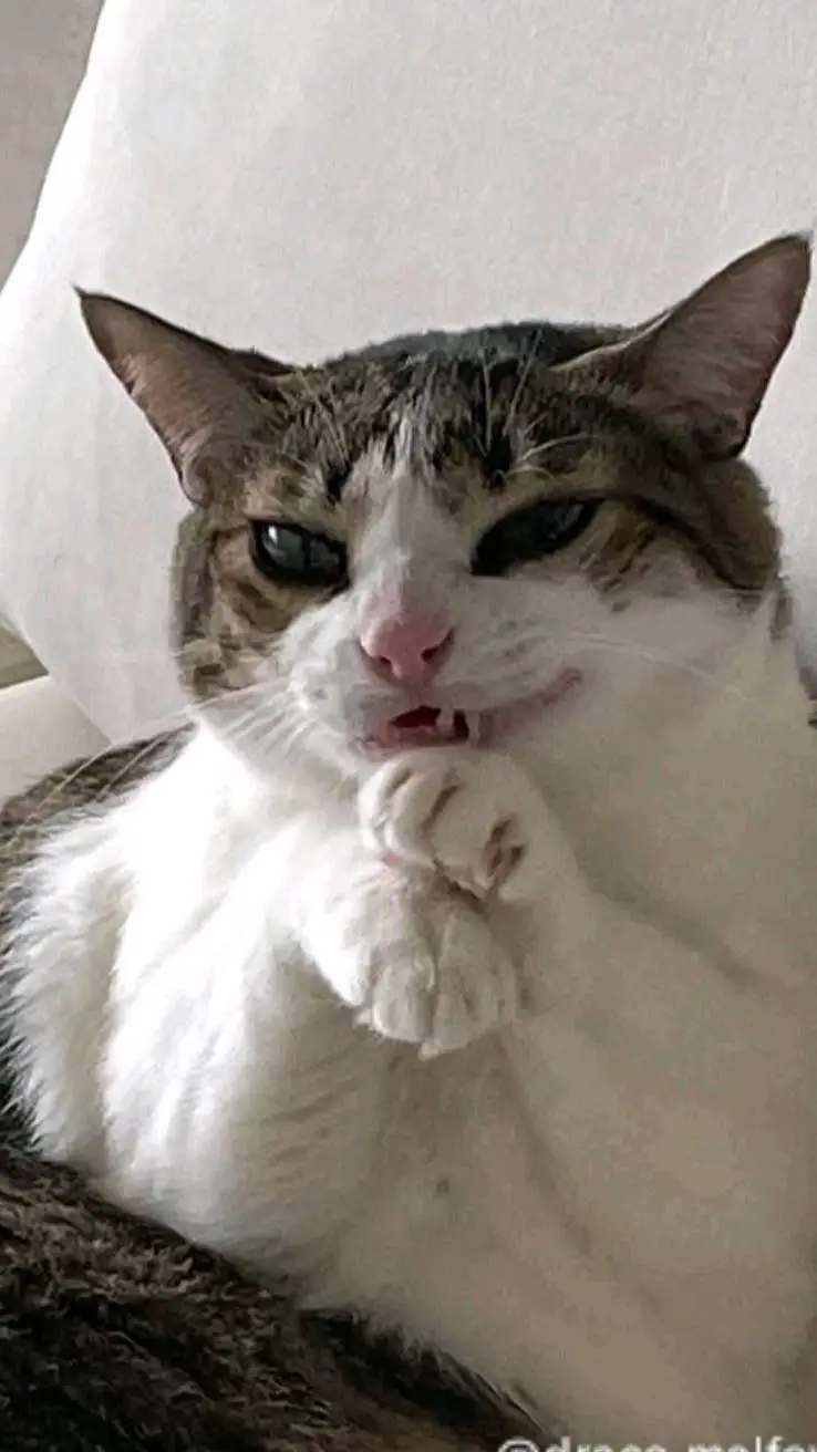 ai character: Sakura background