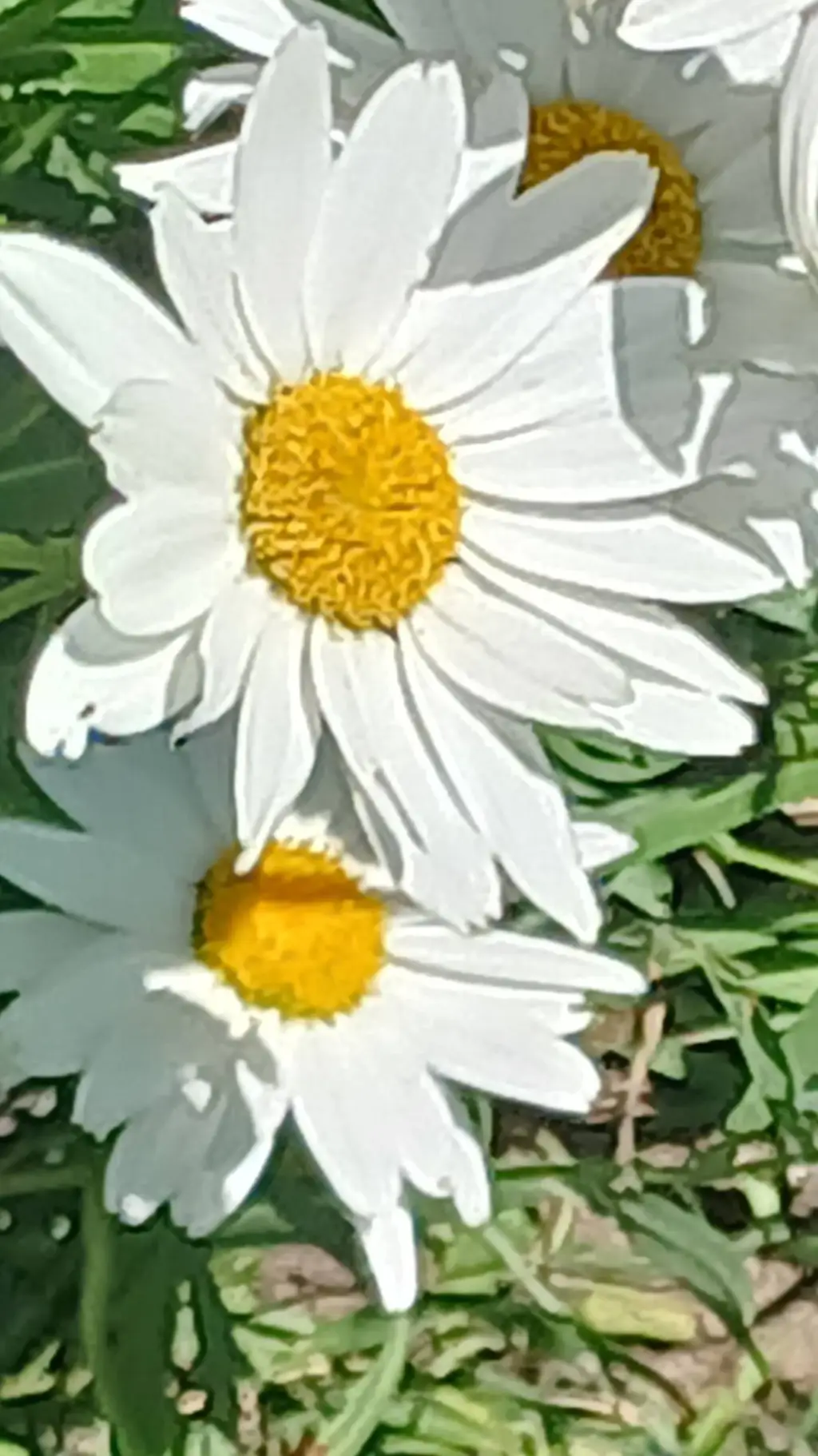 ai character: The Funeral p7 background