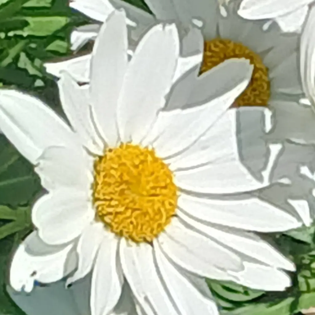 chat with ai character: The Funeral p7