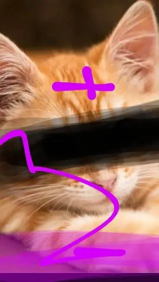 ai character: Bimbo Evo background