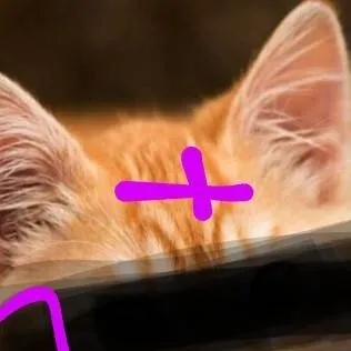 chat with ai character: Bimbo Evo