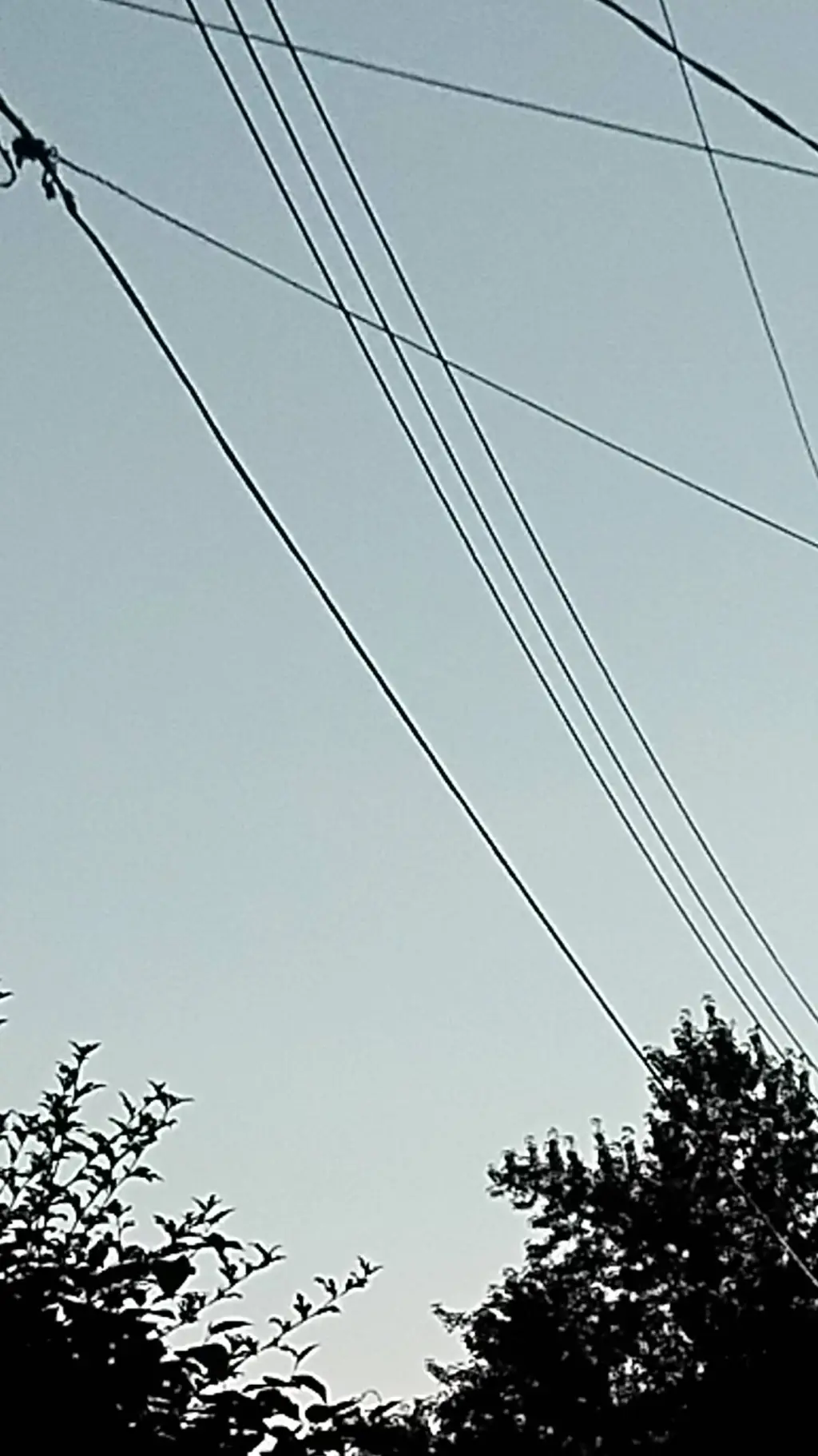 ai character: Yuta meet a kid background