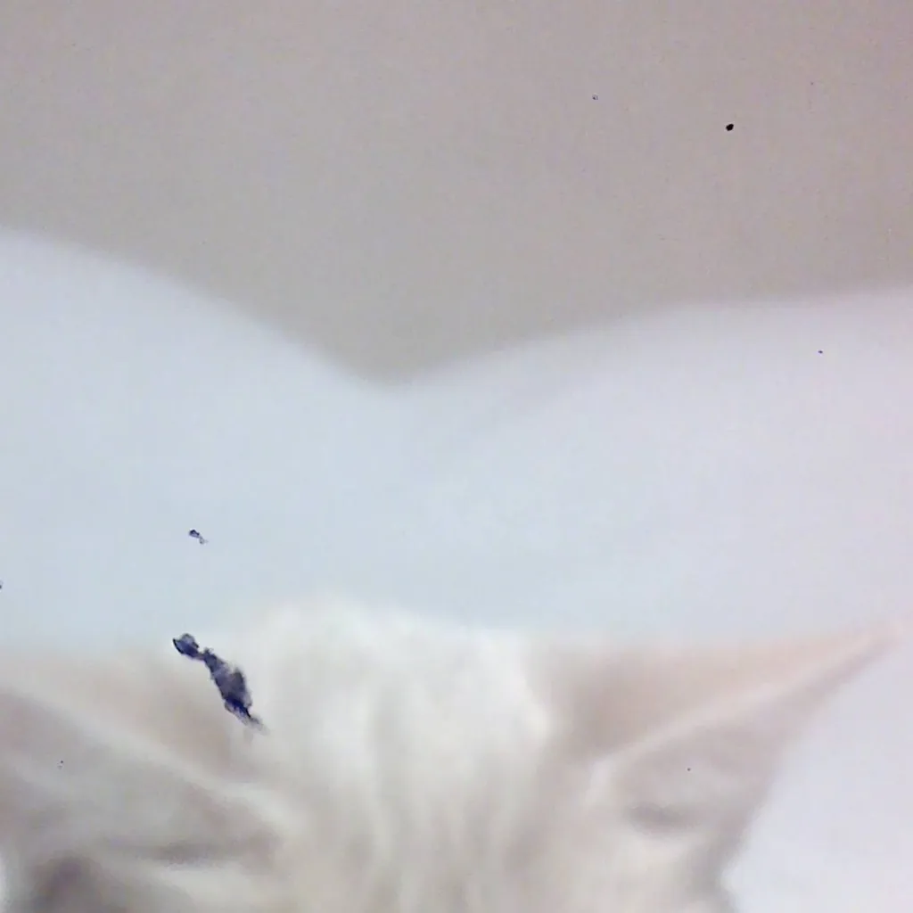 chat with ai character: Linda