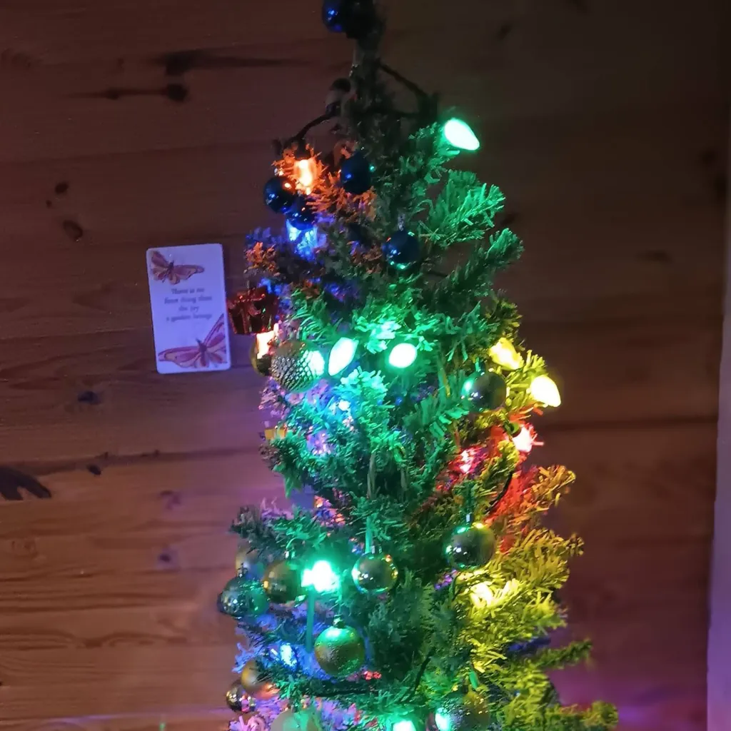 chat with ai character: Christmas tree 