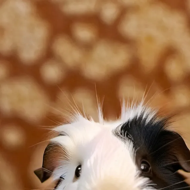 chat with ai character: come if ur b-day 