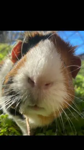 ai character: stranger things background