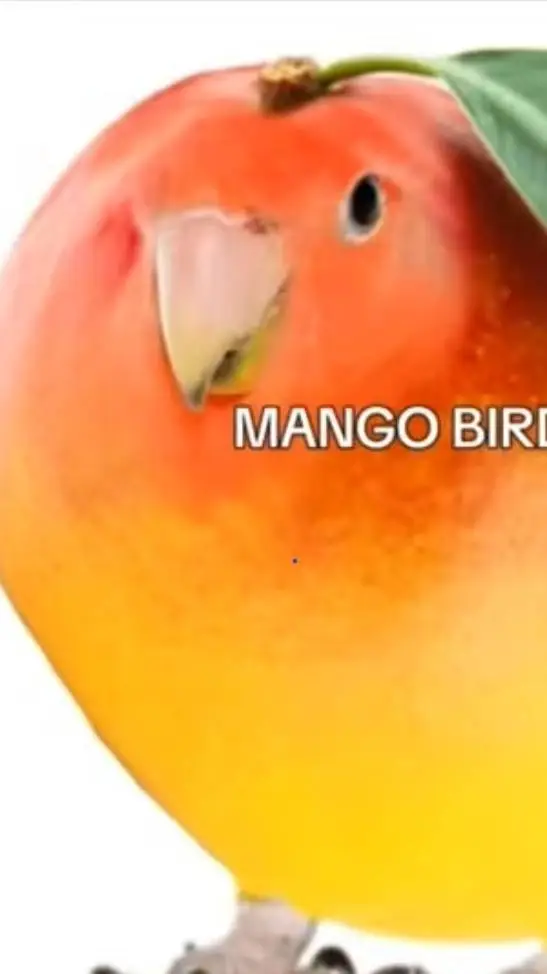 ai character: Mr Mango bird background