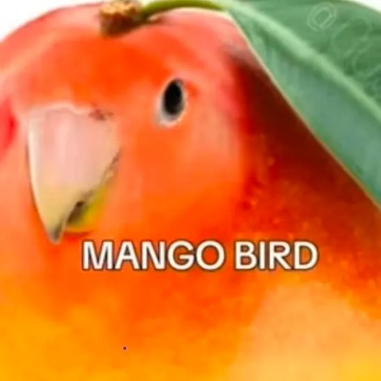 chat with ai character: MISTER MANGOBIRD