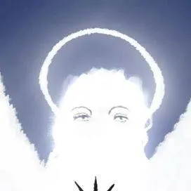 chat with ai character: One piece