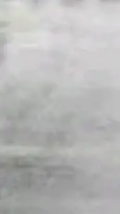 ai character: Whitebeard Pirates background