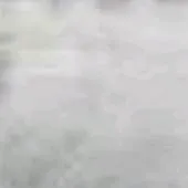 chat with ai character: Whitebeard Pirates