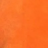 chat with ai character: One Piece