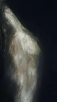 ai character: One Piece background