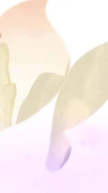 ai character: XFOHV background