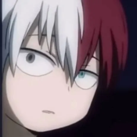 chat with ai character: Shoto Todoroki 
