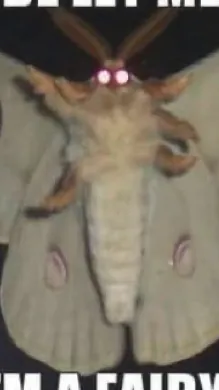 ai character: skelly 🏳️‍🌈 background