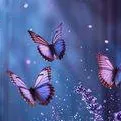 chat with ai character: 🦋Fée des souhait🦋