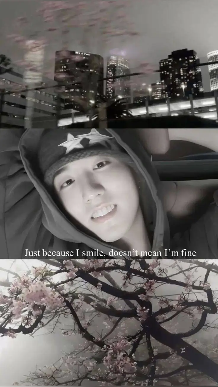 ai character: Han (Minsung) background