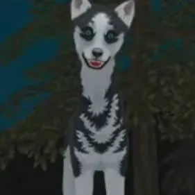 chat with ai character: Wildcraft priver 
