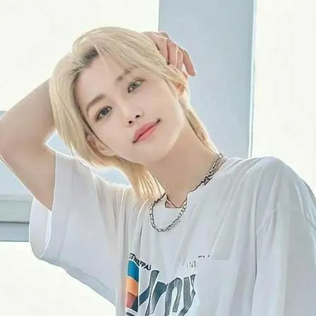 chat with ai character: Félix (yongbok) 🌷