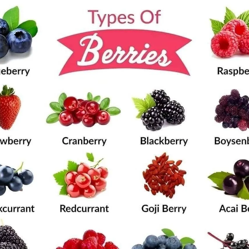 chat with ai character: Berries