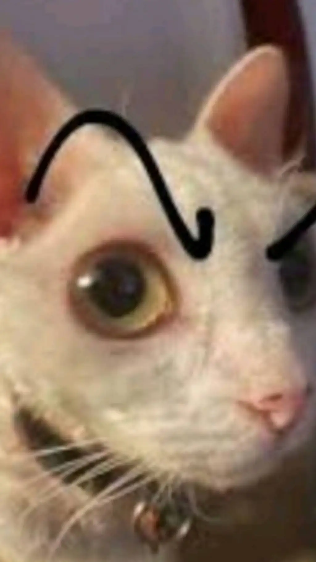 ai character: nose que mamada background