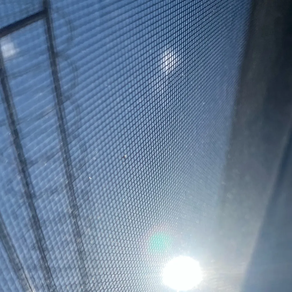 chat with ai character: The Sun 