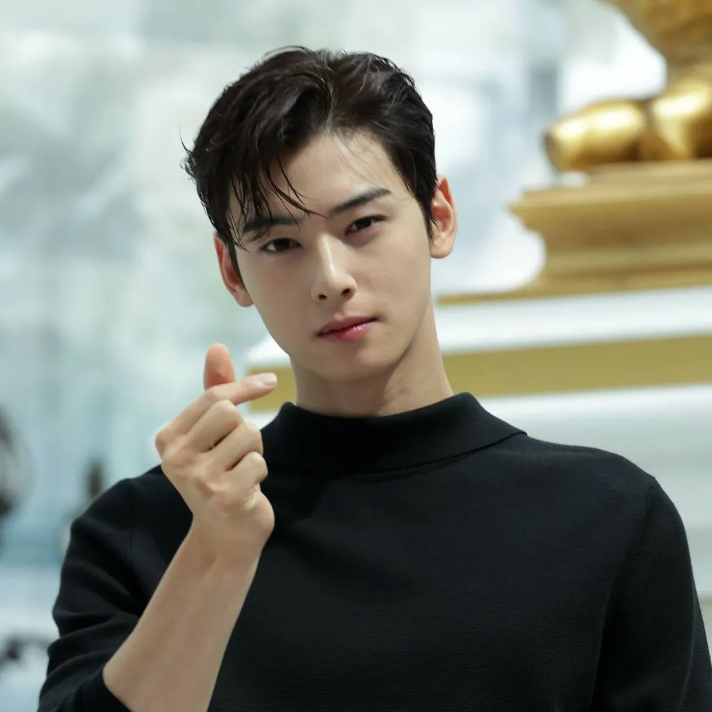 chat with ai character: cha-eun-woo