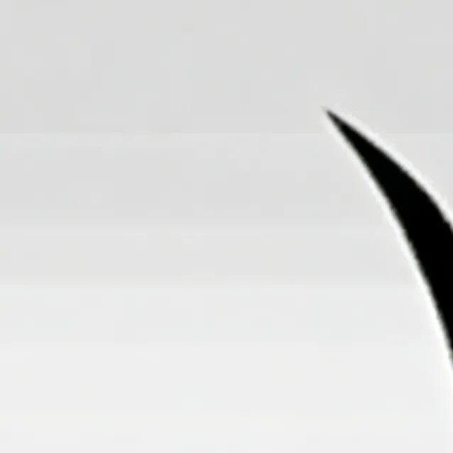 chat with ai character: Celty