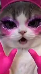 ai character: gato rosado background