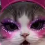 chat with ai character: gato rosado