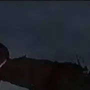 chat with ai character: Godzilla bloodbath