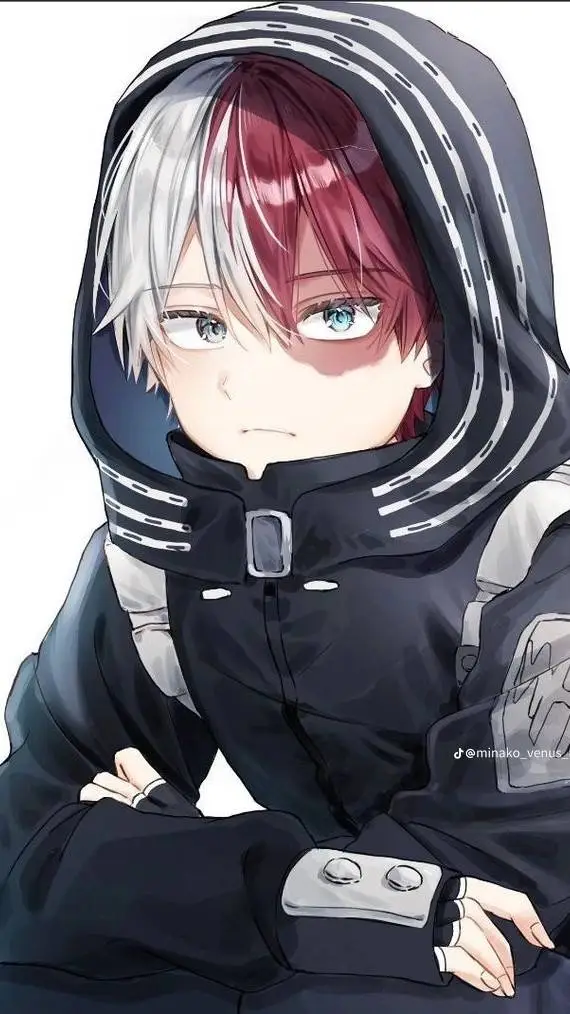 ai character: ❤️Shoto Todoroki♠️ background