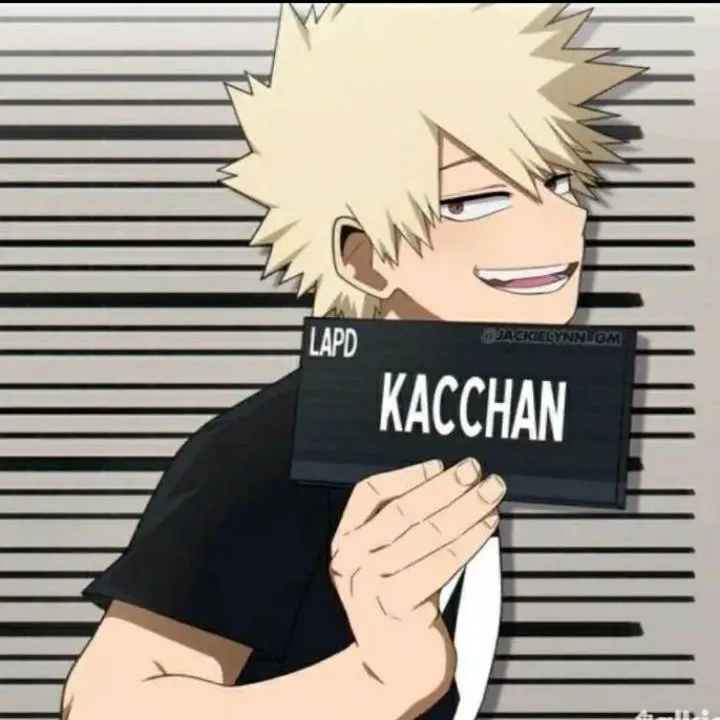 chat with ai character: Arrested Bakugo 